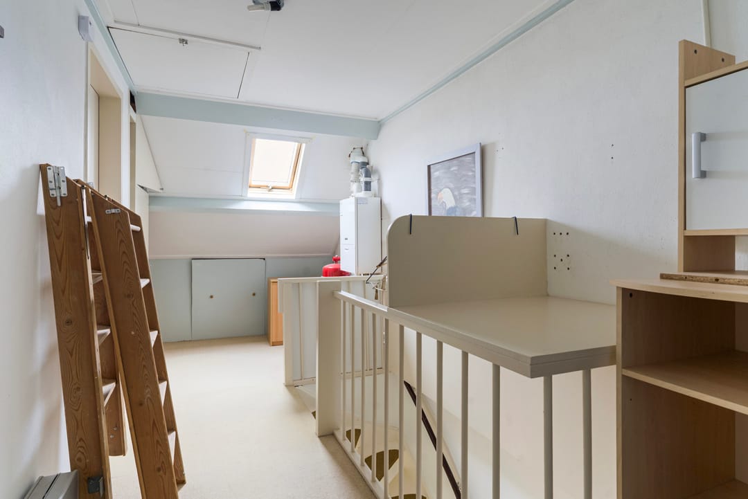 Photo 22 of Sixmastins 4