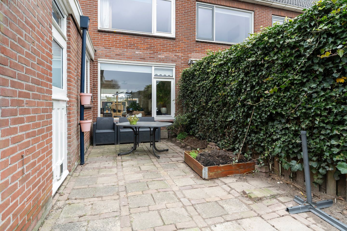 Photo 25 of Sixmastins 4