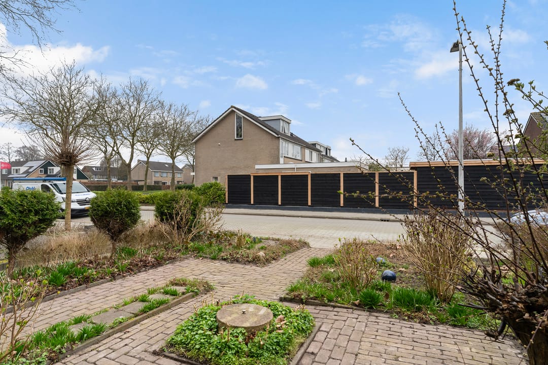 Photo 31 of Sixmastins 4