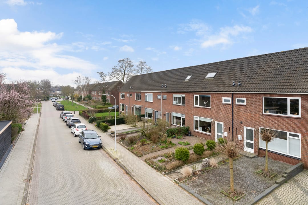 Photo 32 of Sixmastins 4