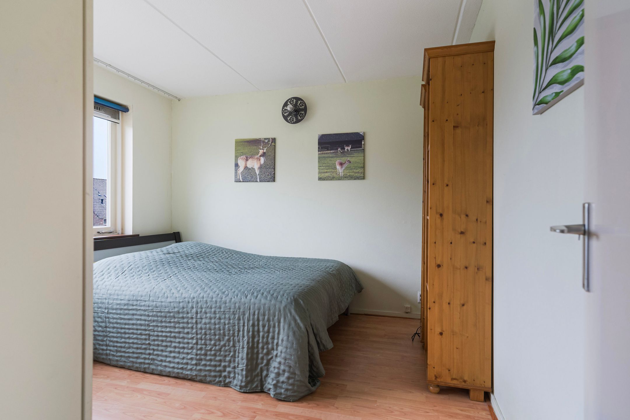 Photo 15 of Sixmastins 4