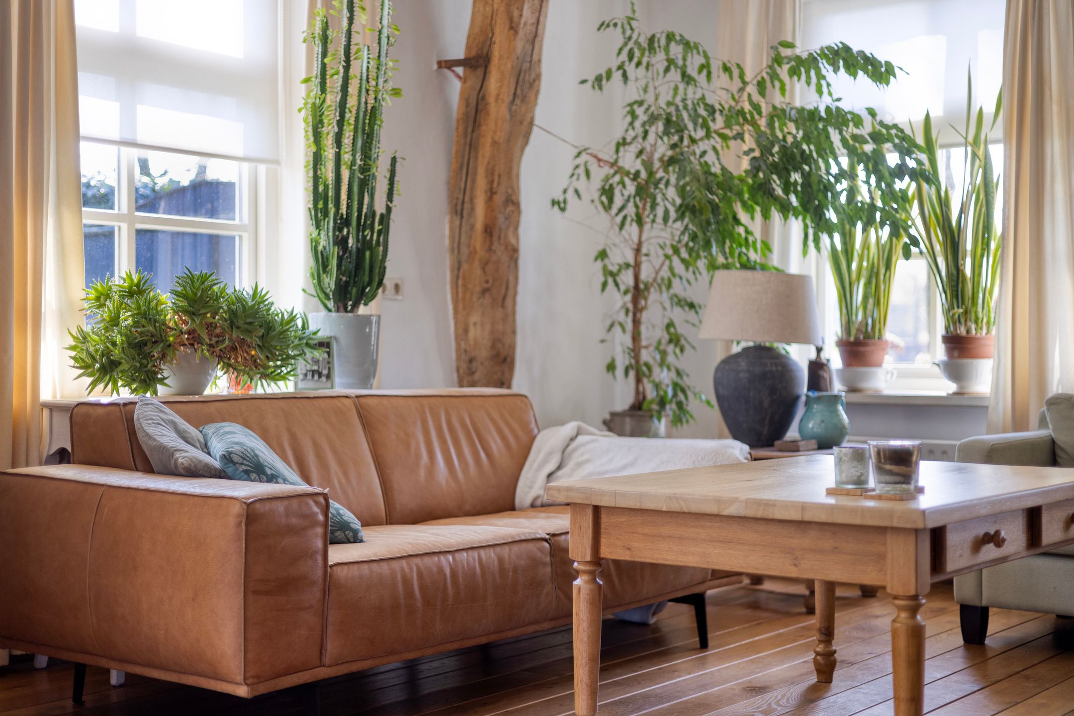 Foto 9 van Eikenheuvelweg 16