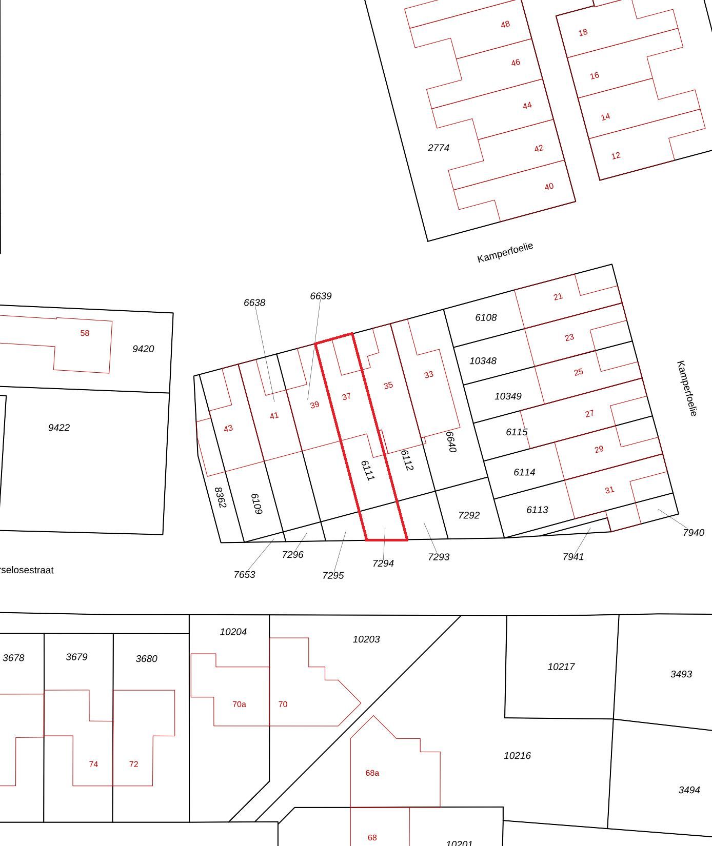 Foto 33 van Kamperfoelie 37