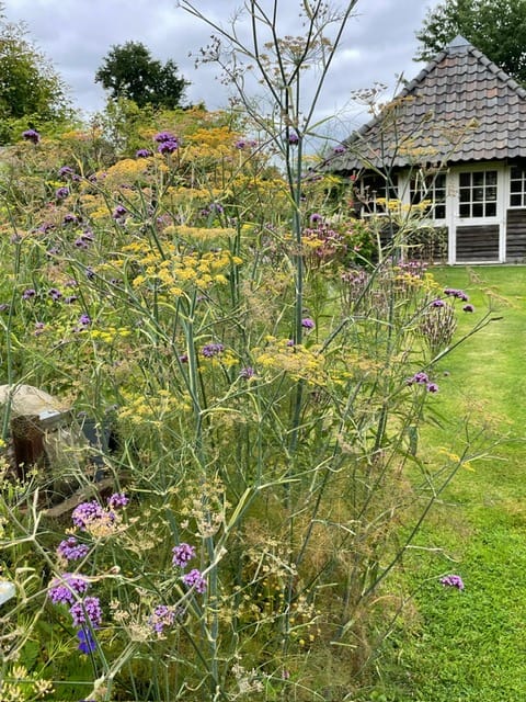 Foto 64 van Eikenheuvelweg 16