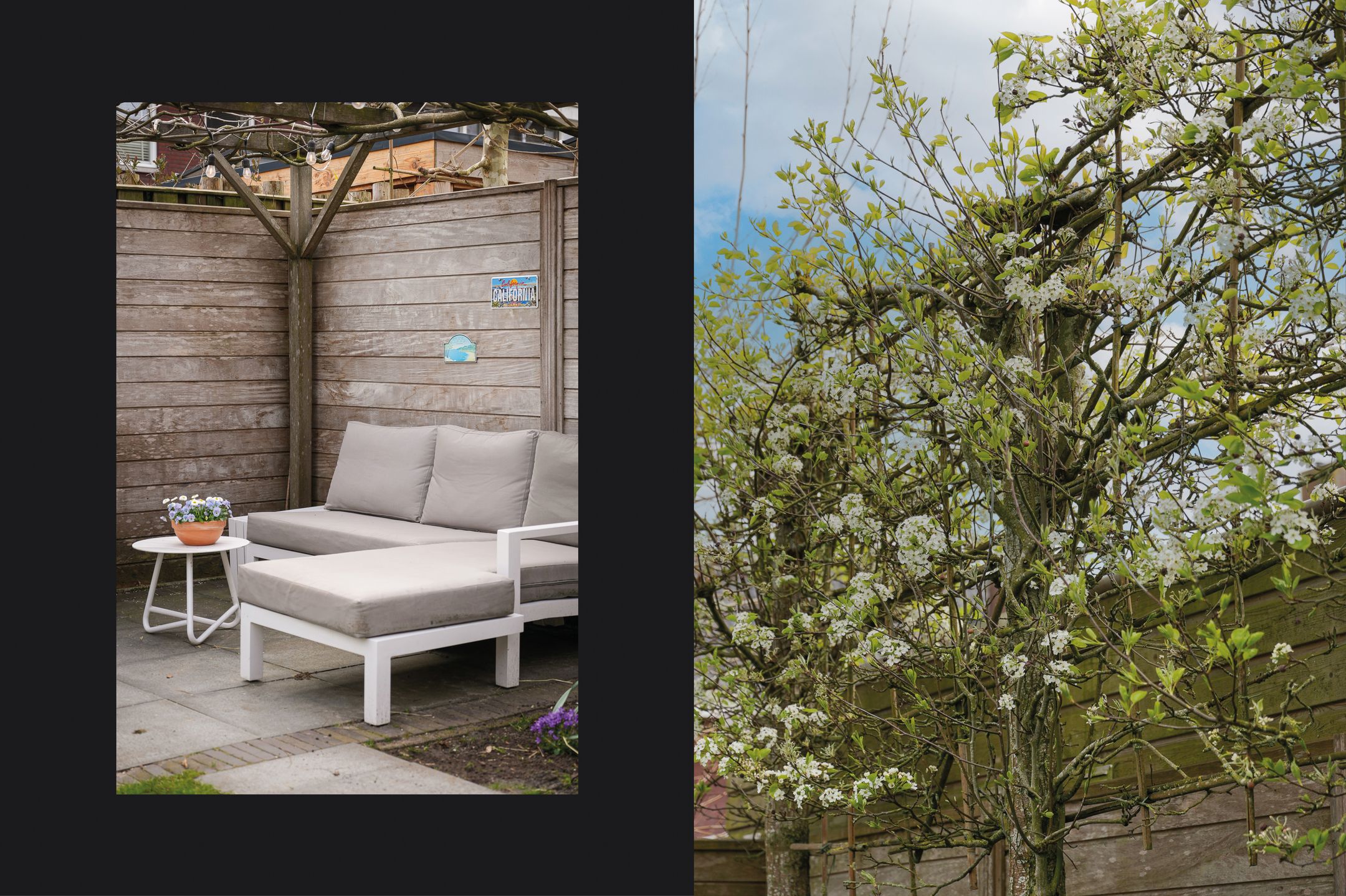 Foto 48 van Etudestraat 25