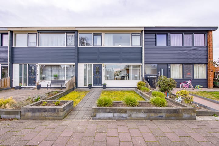 Foto 2 van Horizon 65