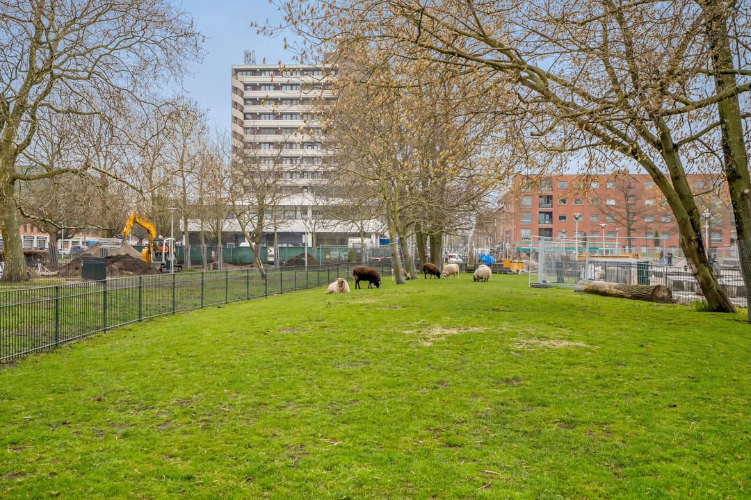 Foto 26 van Herman Costerstraat 332