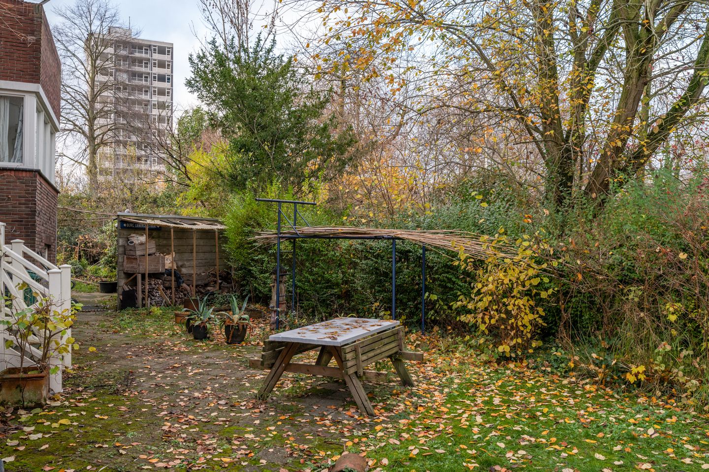 Photo 40 of Burgemeester van Liebergenstraat 12