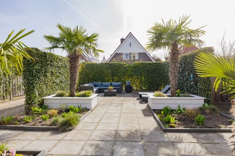 Rumba 3 secondary image