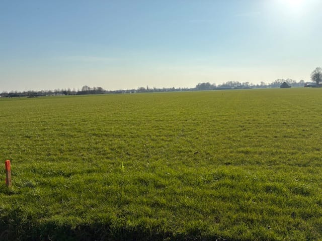 Foto 3 van Nieuweweg