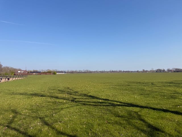 Foto 6 van Nieuweweg