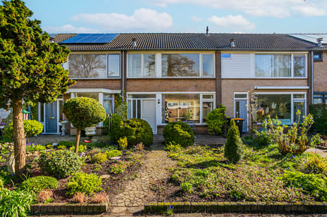 Catlastraat thumbnail