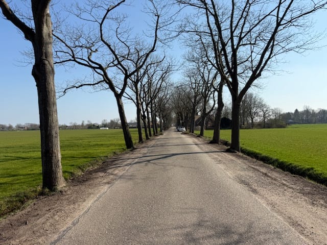 Foto 8 van Nieuweweg