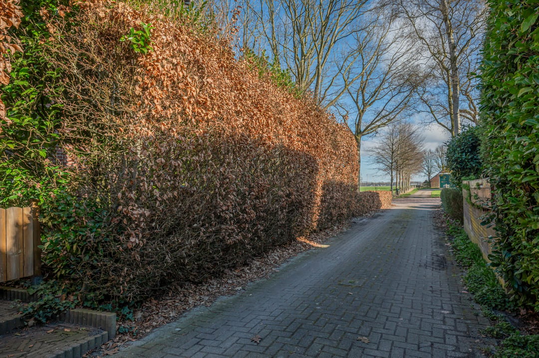 Photo 61 of Hoofdweg 45