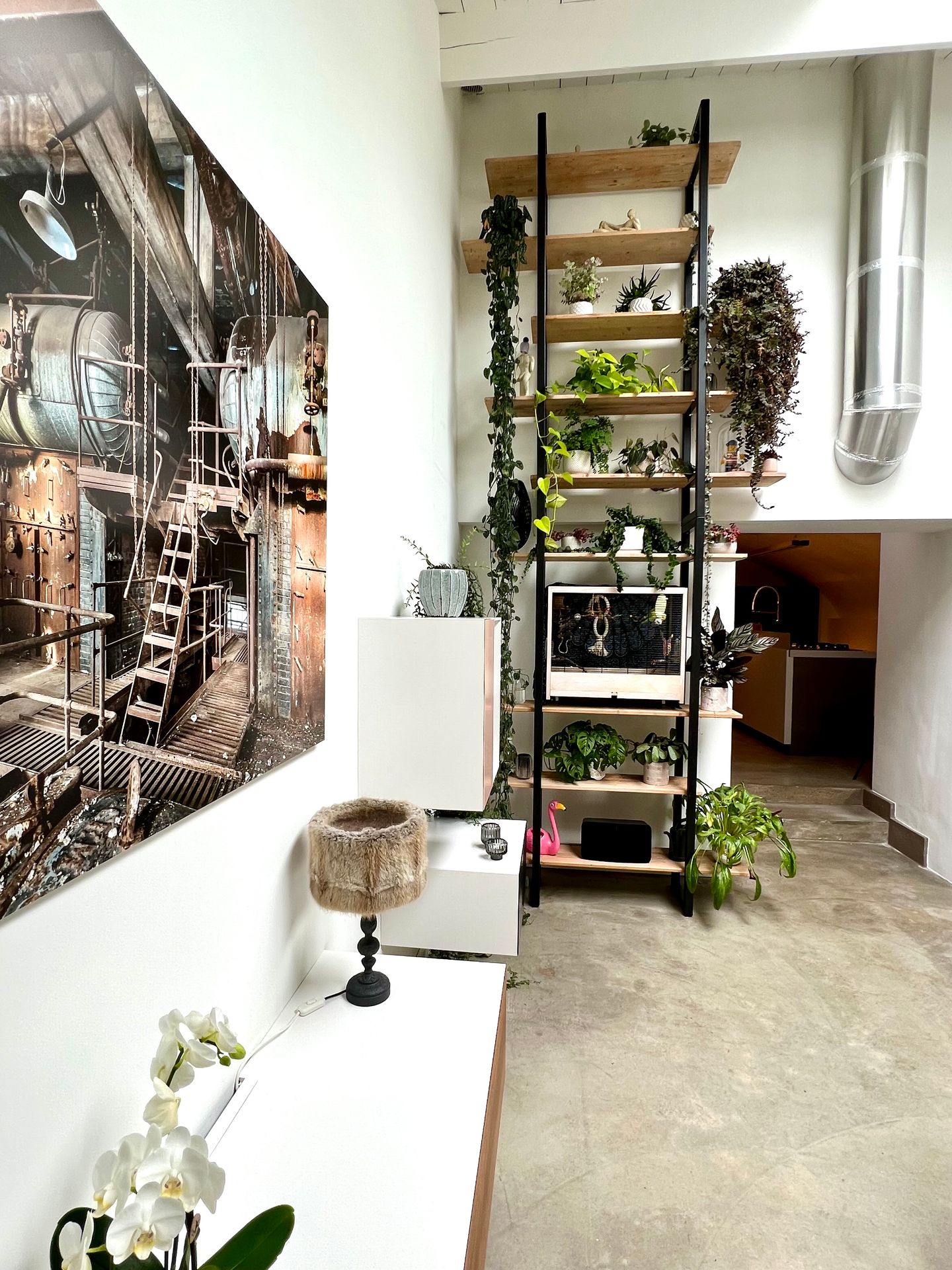 Foto 10 van Oudegracht 371-L