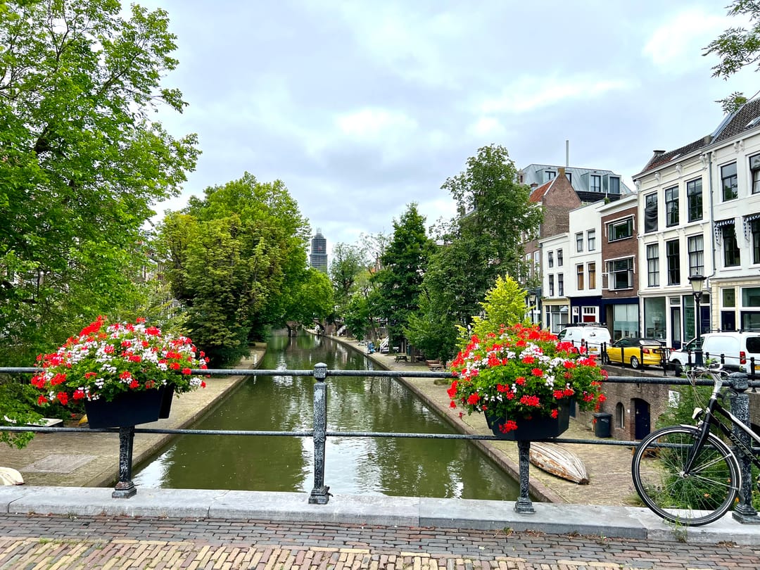 Foto 31 van Oudegracht 371-L