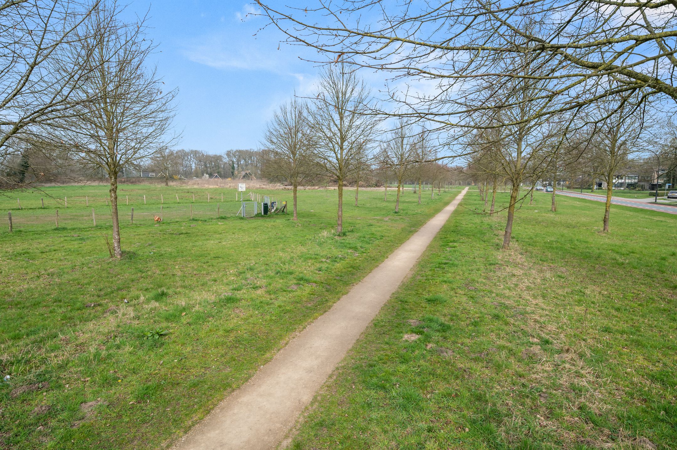 Photo 39 of Van Deinsestraat 3