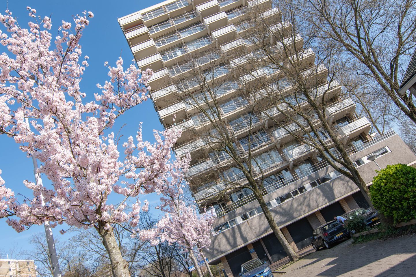 Corner apartment with sunny west-facing balcony in Driemanspolder-Oost — 19