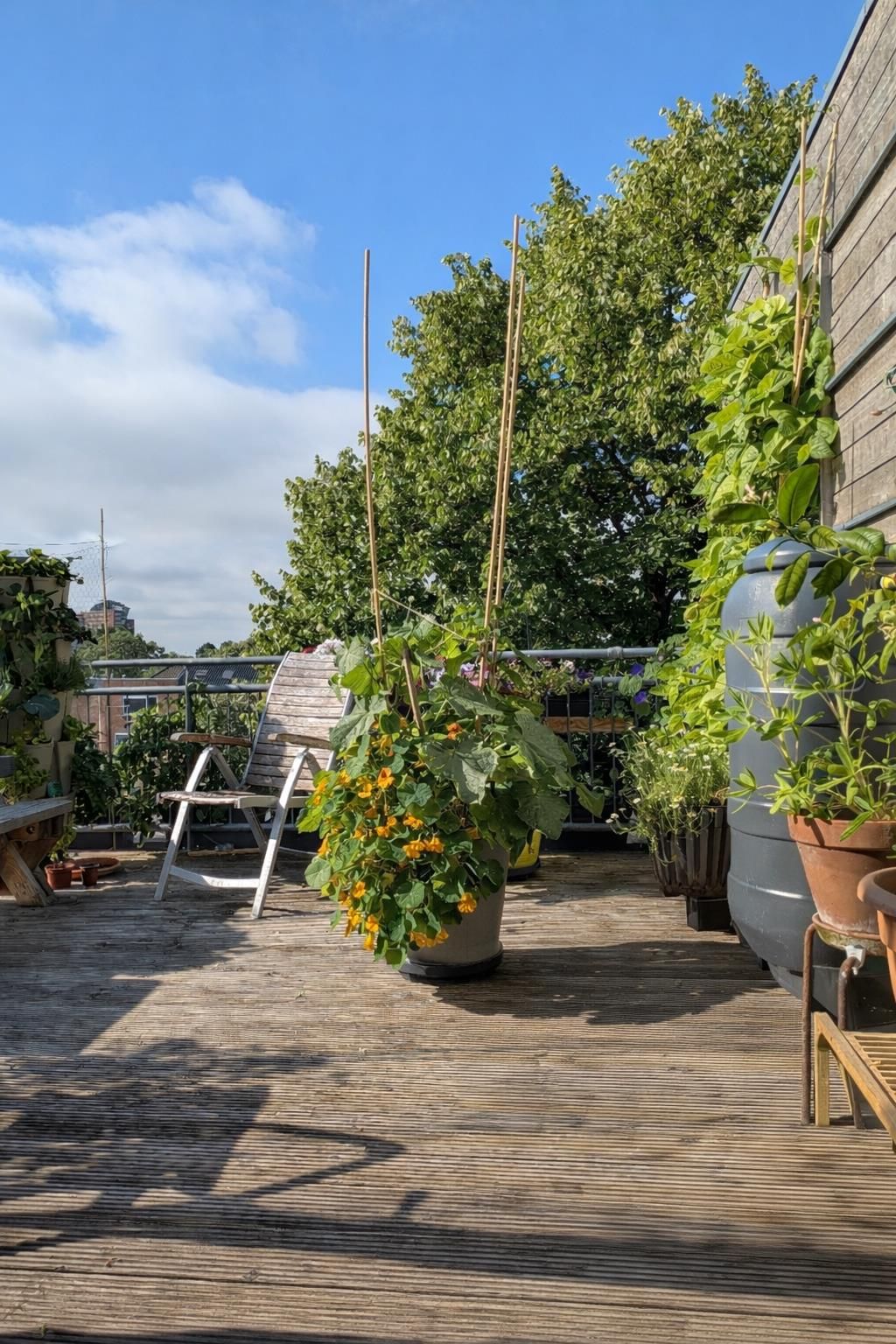 Foto 19 van Busken Huetstraat 4