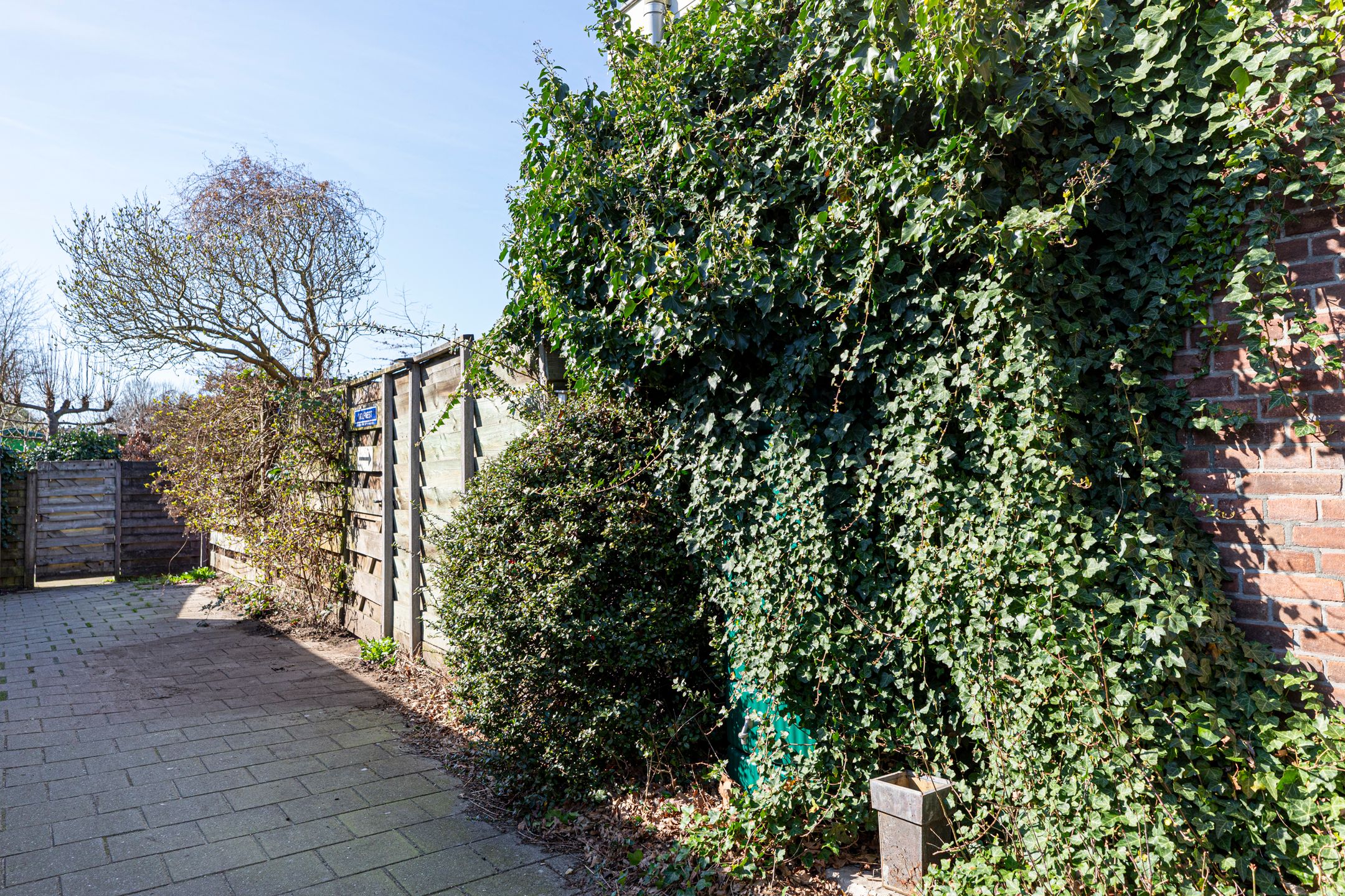 Photo 54 of Gravin Jacobastraat 1