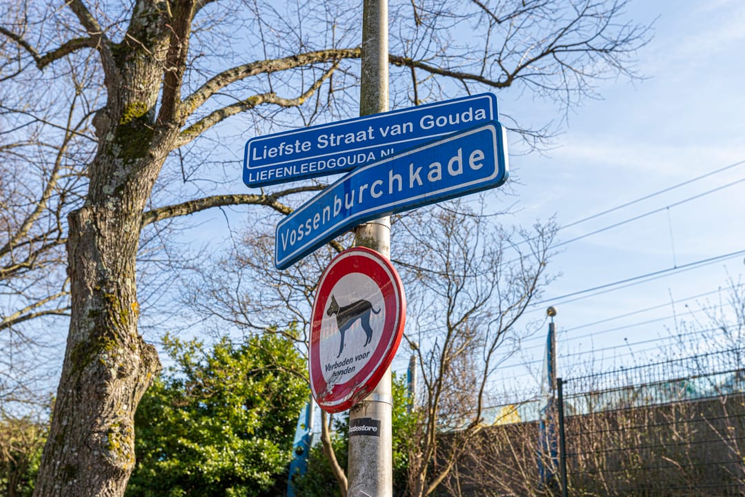 Photo 56 of Gravin Jacobastraat 1