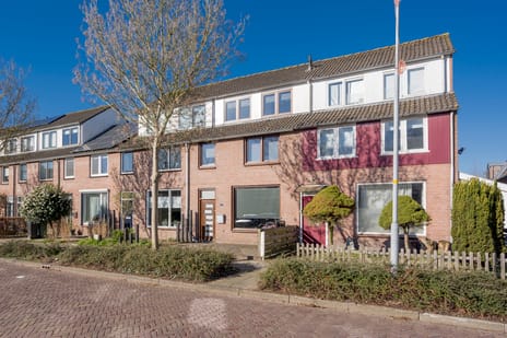 Professor Eijkmanstraat thumbnail