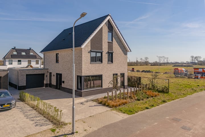 Foto 4 van Heivlinder 2