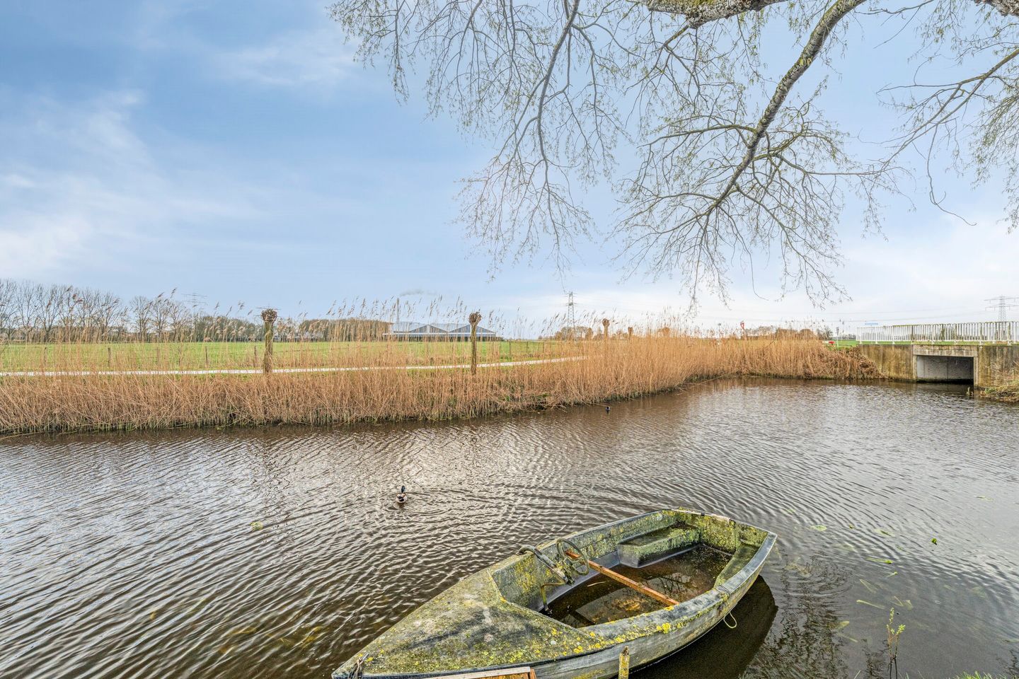 Foto 50 van Zuidwenk 59