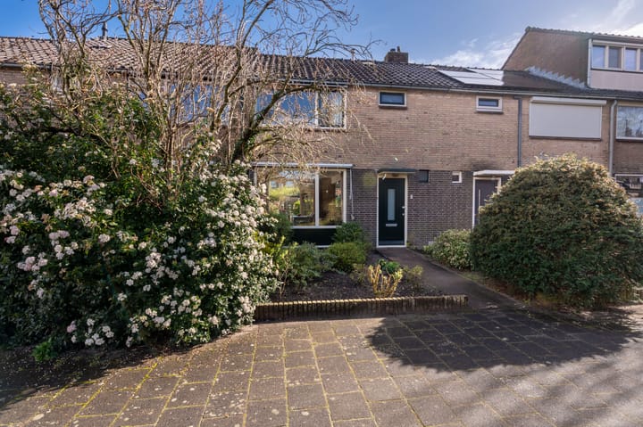 Drecht 5