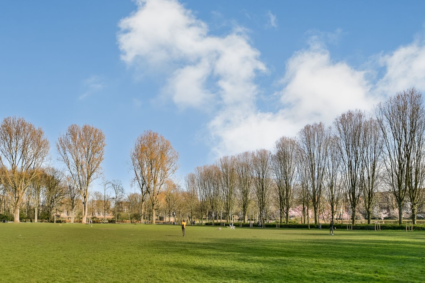 Foto 19 van Erasmusgracht 27-3