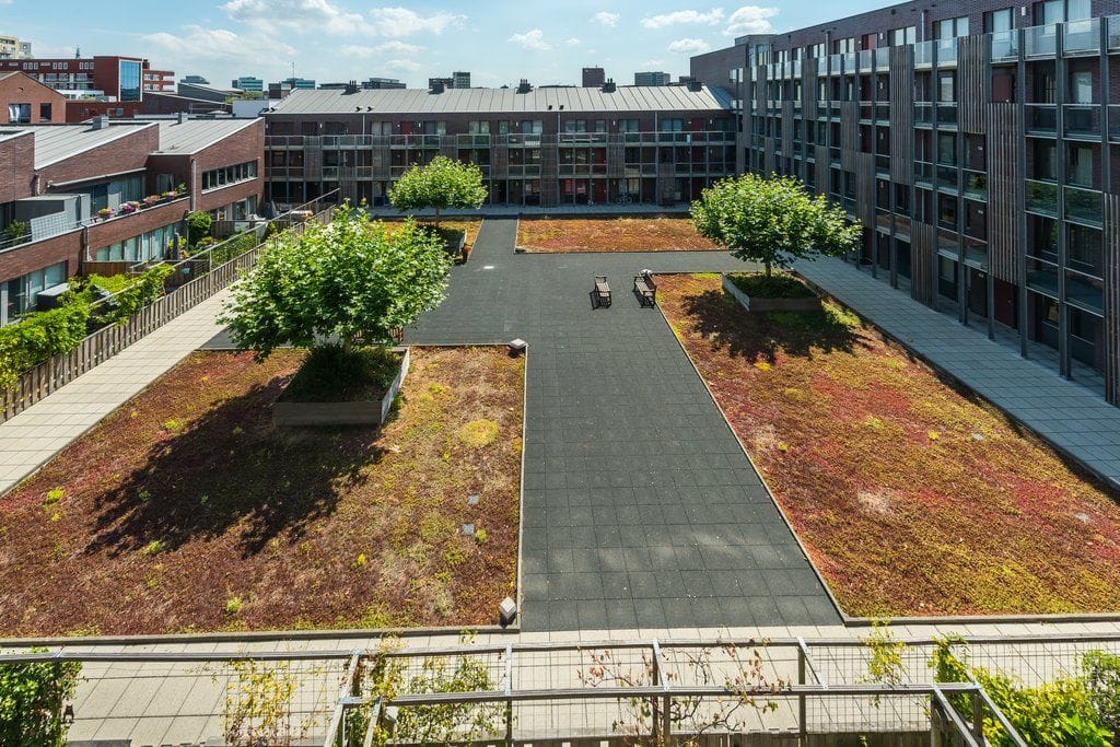 Foto 21 van Friesestraat 33