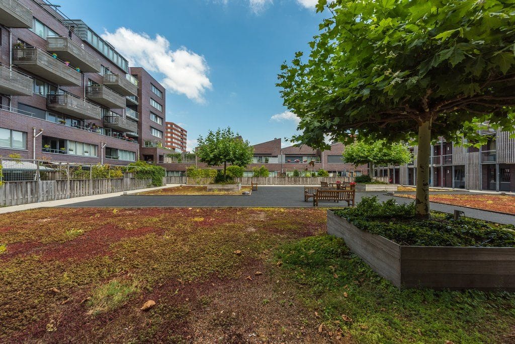 Foto 25 van Friesestraat 33