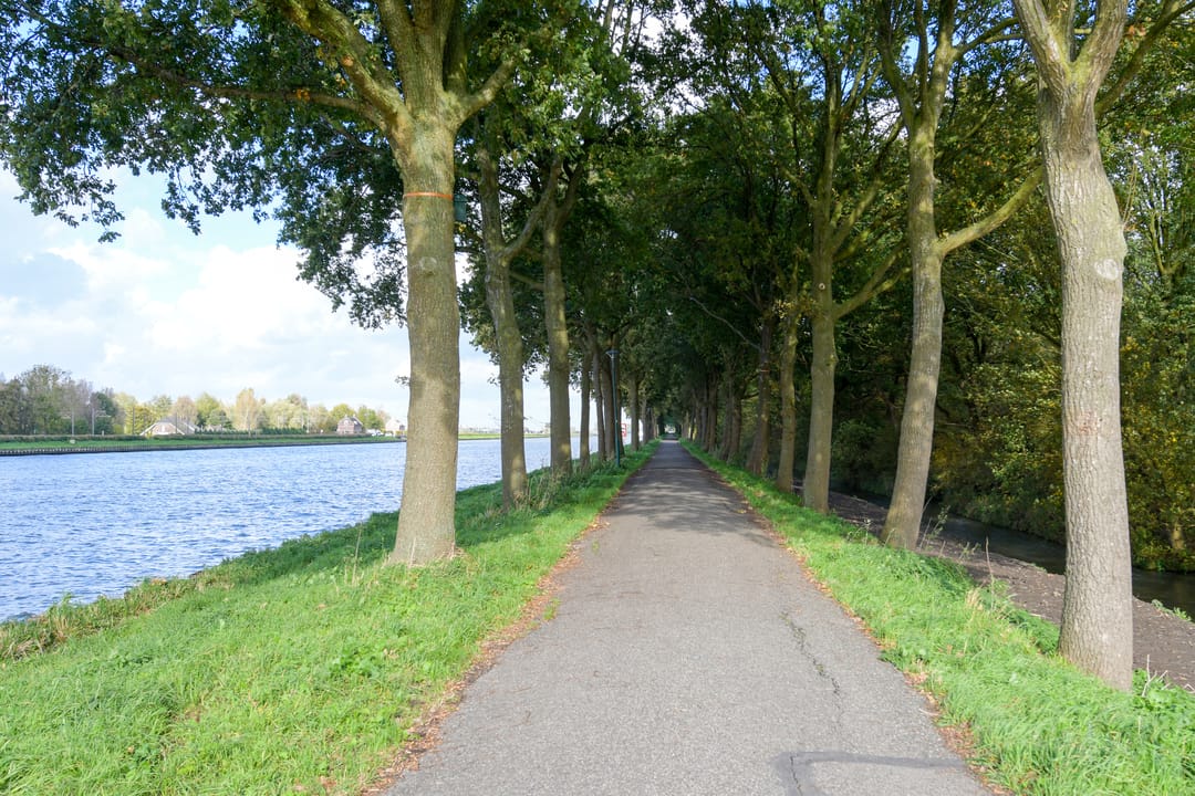 Foto 32 van Wiardi Beckmanstraat 123