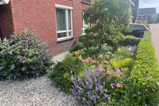 Foto 5 van Hamermolen 1