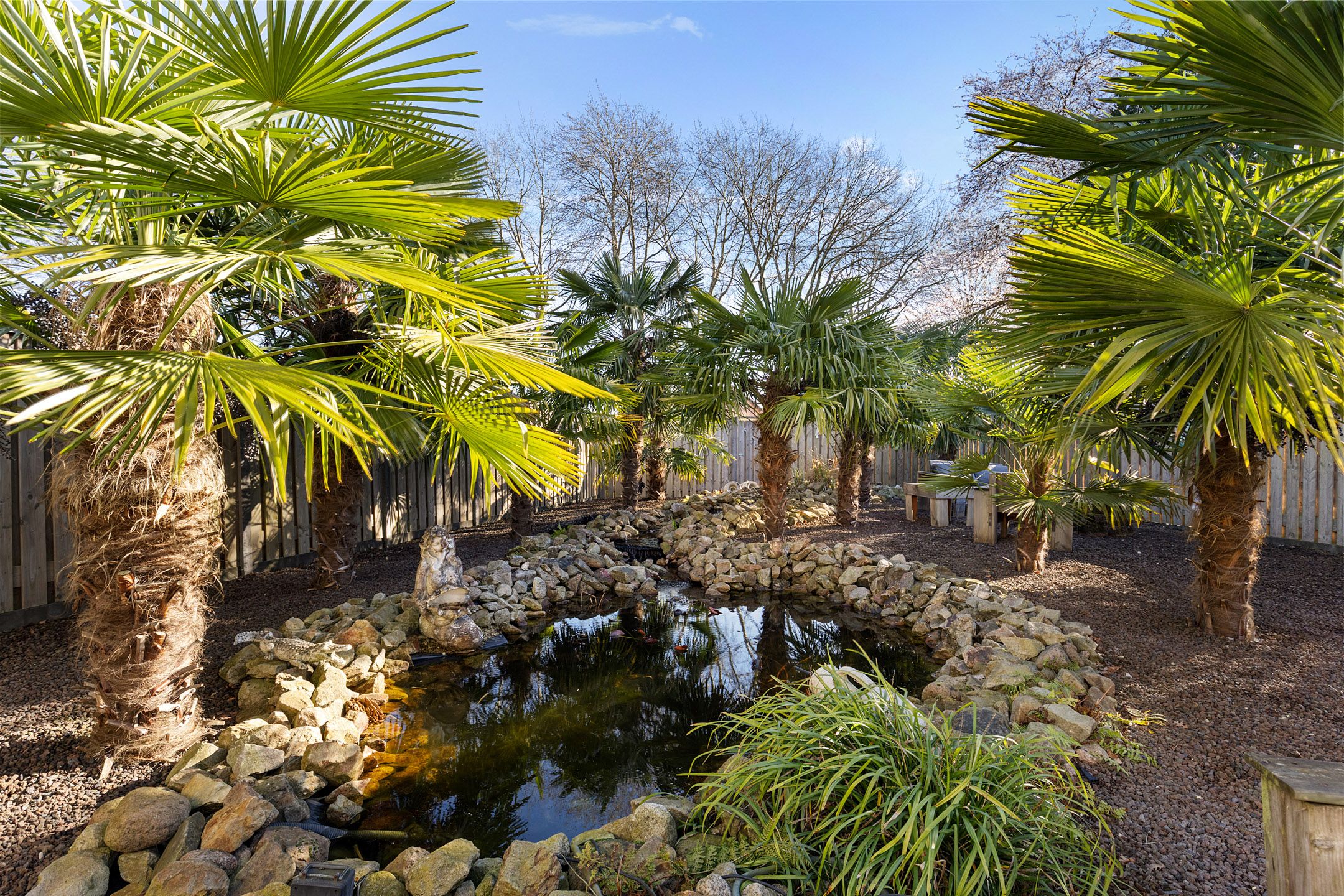 Photo 33 of Dennenhage 11