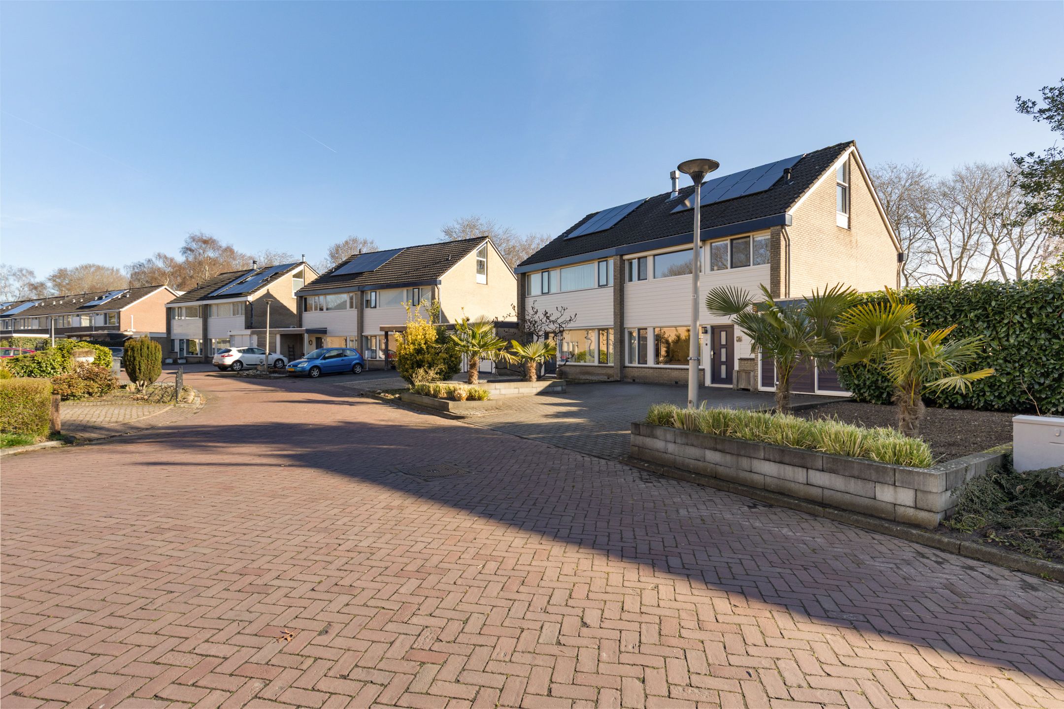 Photo 36 of Dennenhage 11