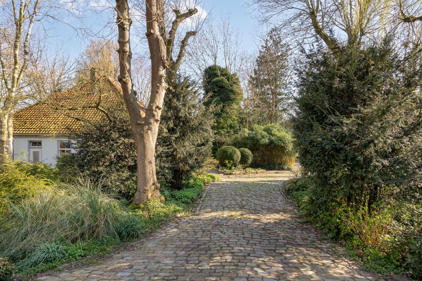 Foto 14 van Noorderweg 119