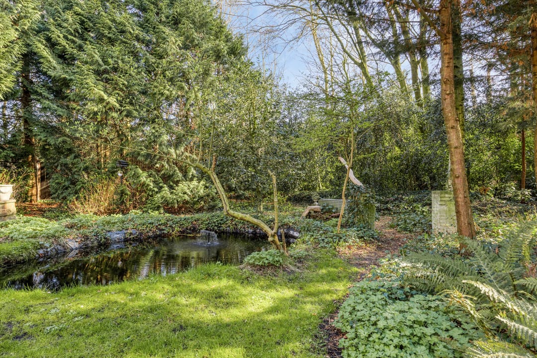 Foto 112 van Noorderweg 119