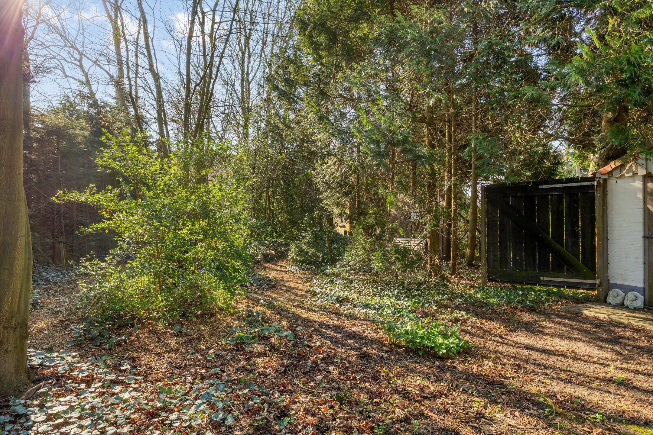 Foto 114 van Noorderweg 119