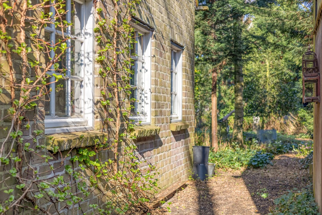 Foto 137 van Noorderweg 119