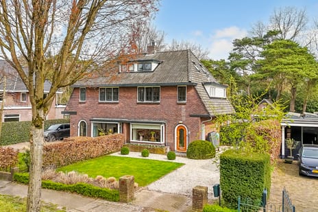 Jan Willem Frisolaan thumbnail