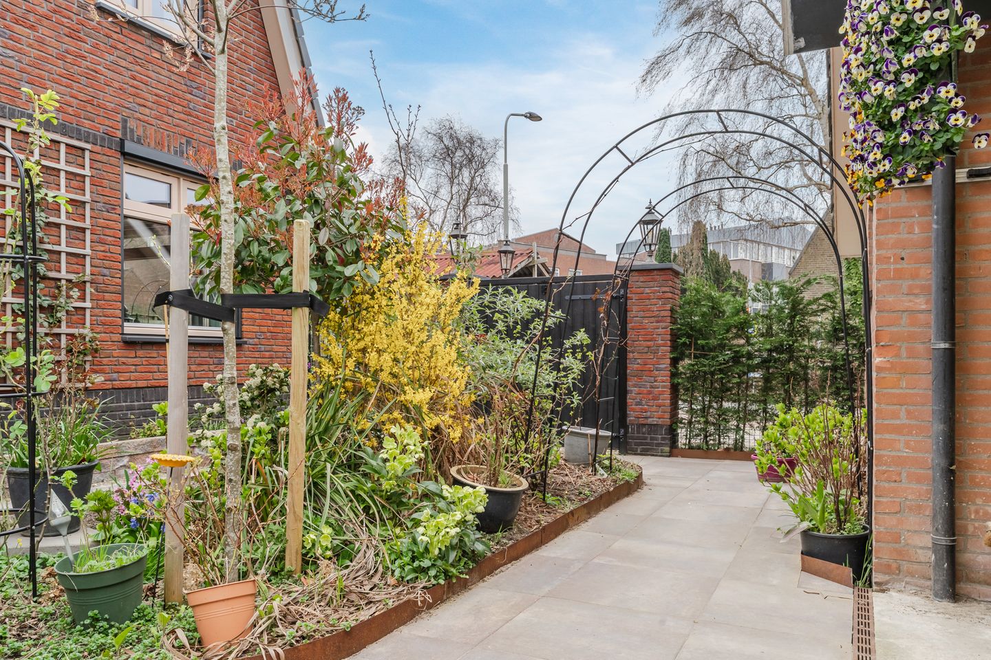 Foto 40 van de Nederlanden 4