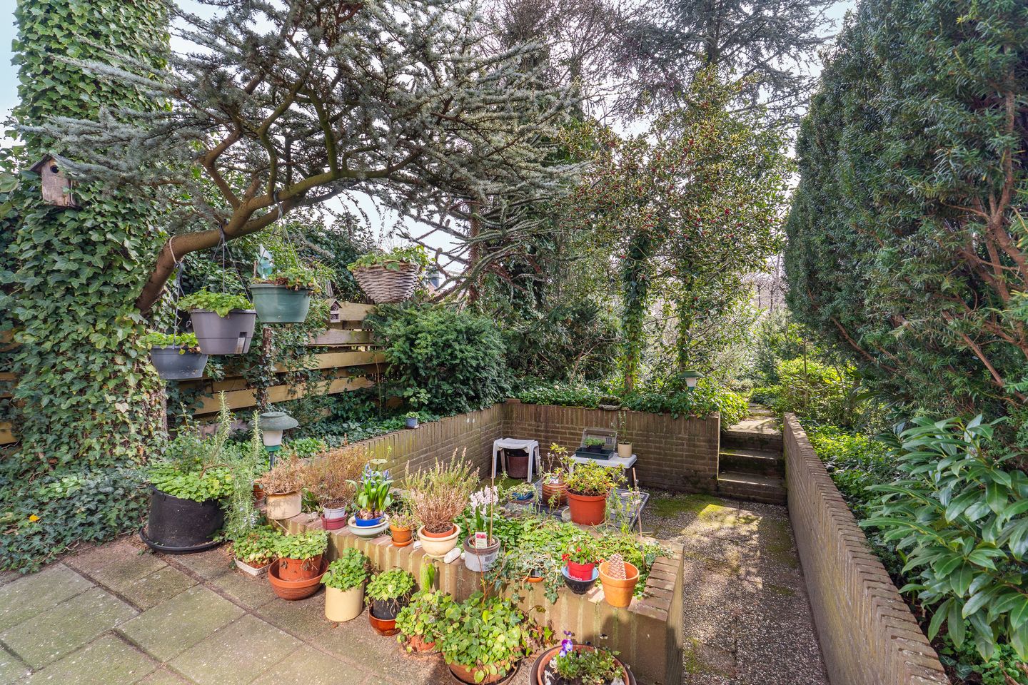 Photo 4 of Tilburgweg 33