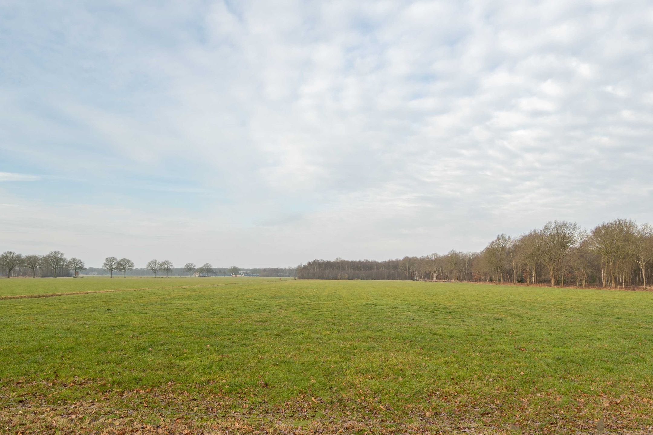 Photo 36 of Hendrik Reindersweg 28-83A