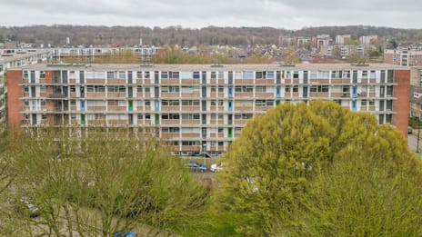 Rijnbeekstraat thumbnail