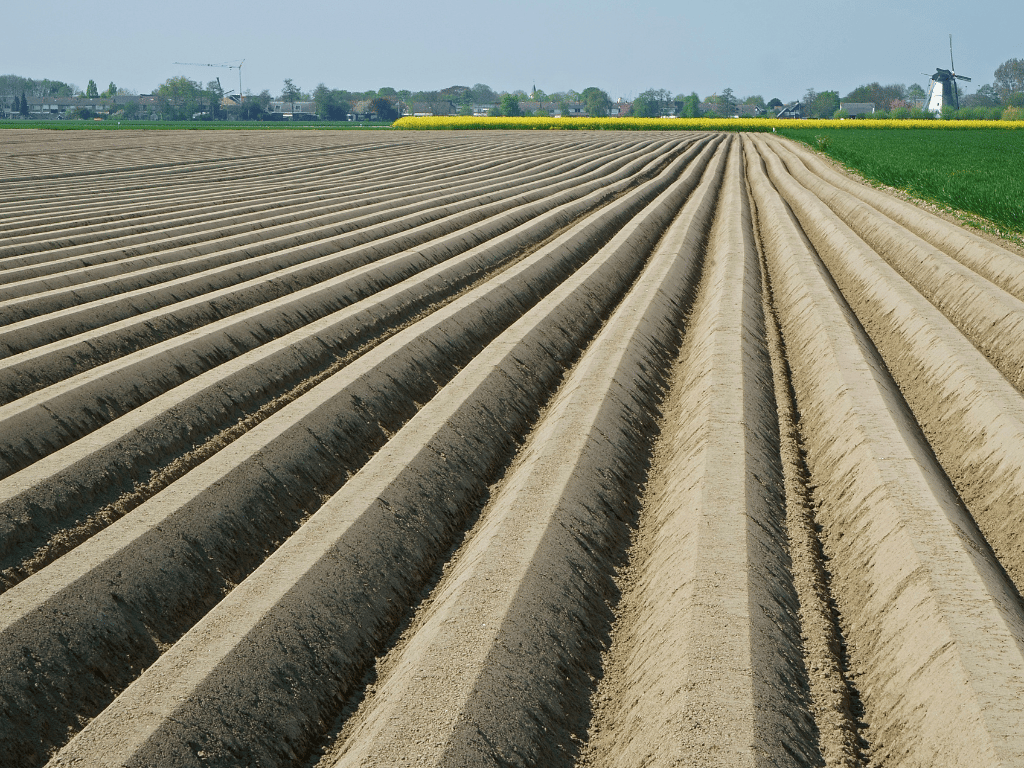 Foto 38 van Veerse Meerdreef 72