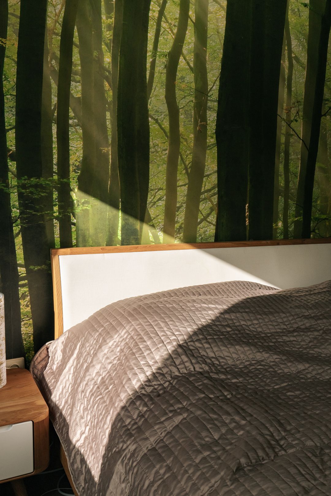 Foto 22 van Jan Tooroplaan 52