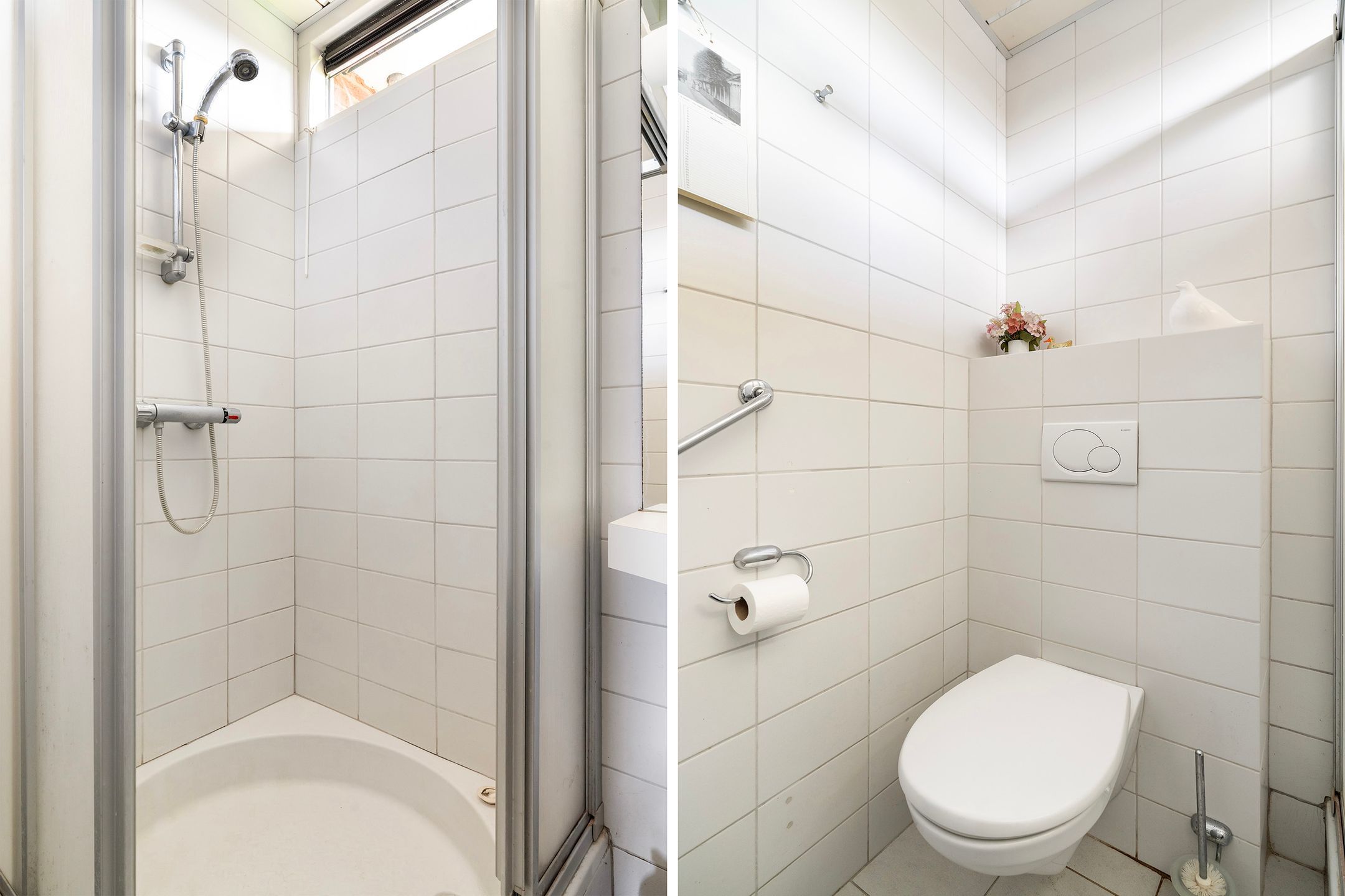 Foto 9 van De Hannen 6-RECR