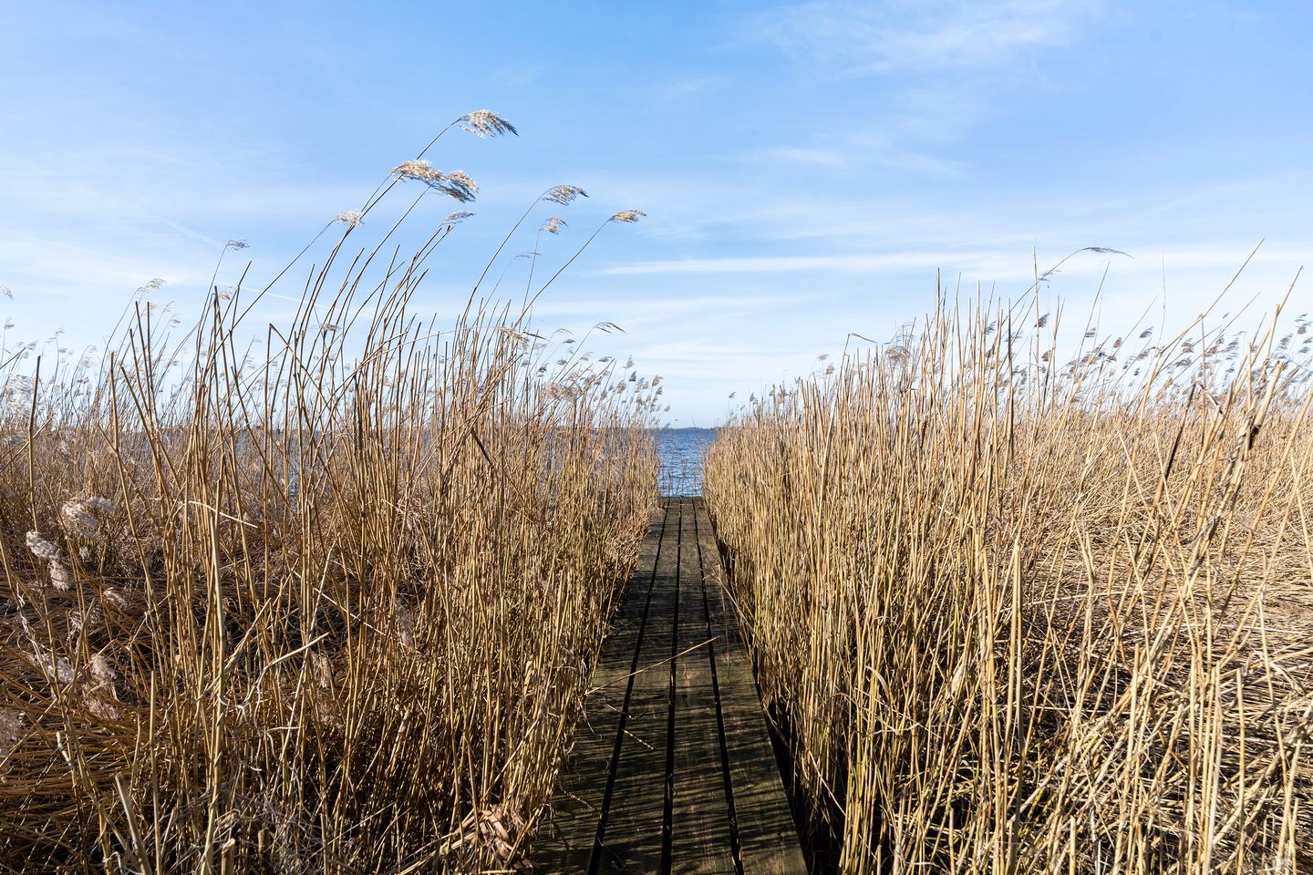 Foto 44 van De Hannen 6-RECR