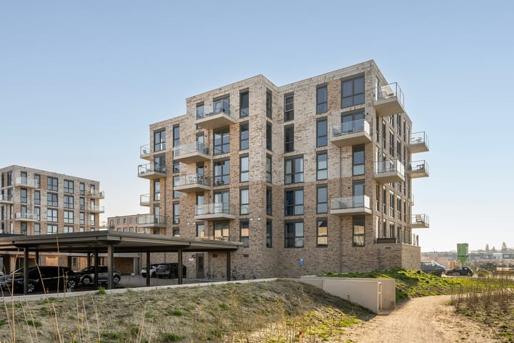 Foto 2 van Fluwijn 499